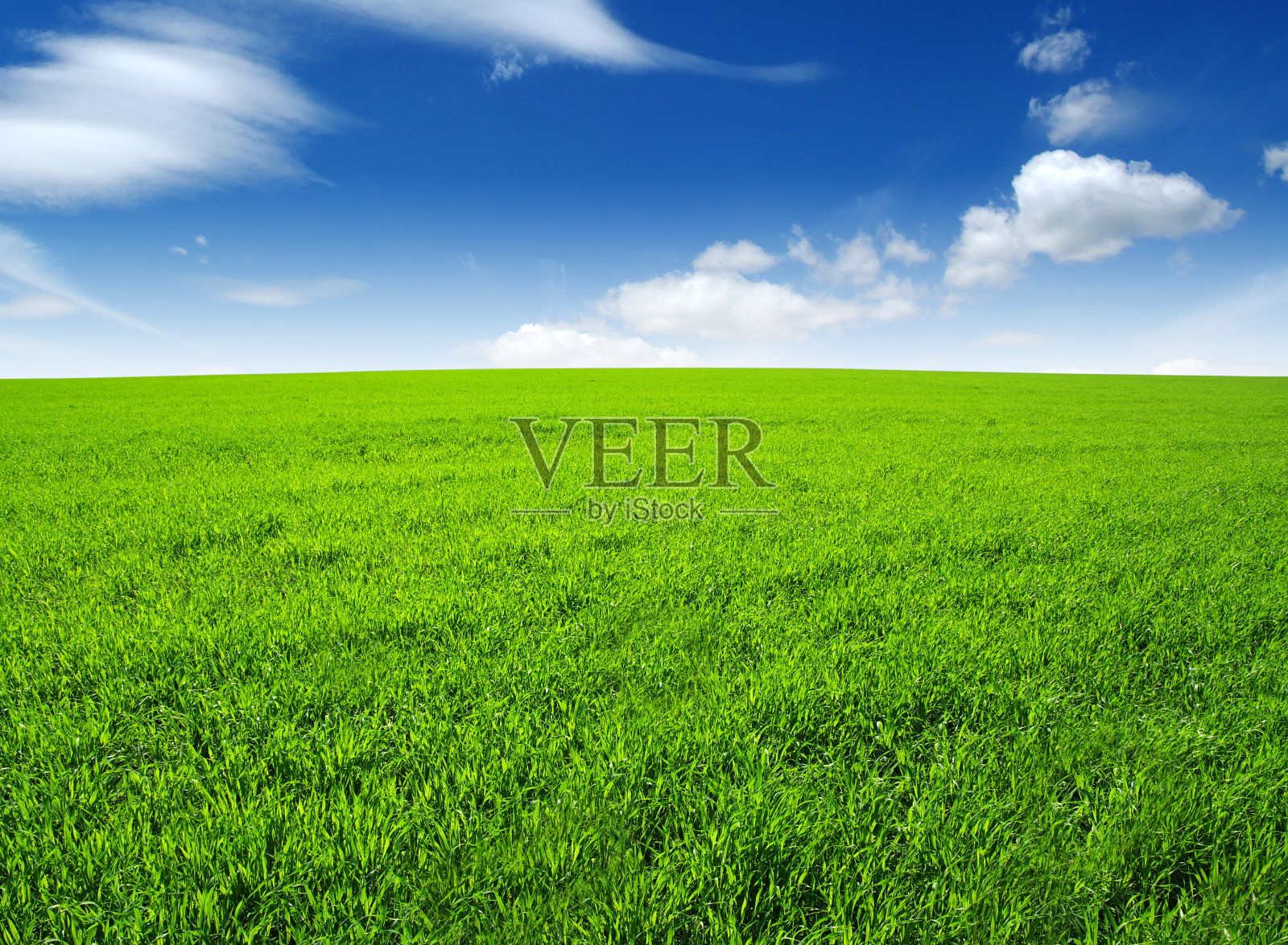 场照片摄影图片