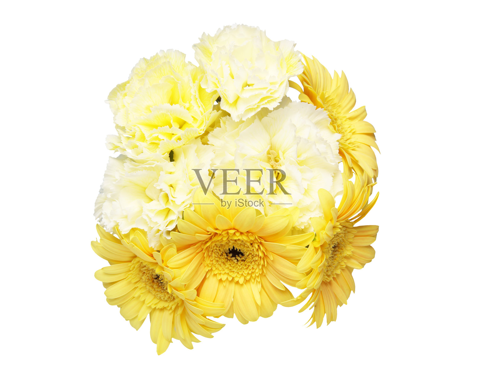 康乃馨和德兰士瓦菊的花束照片摄影图片