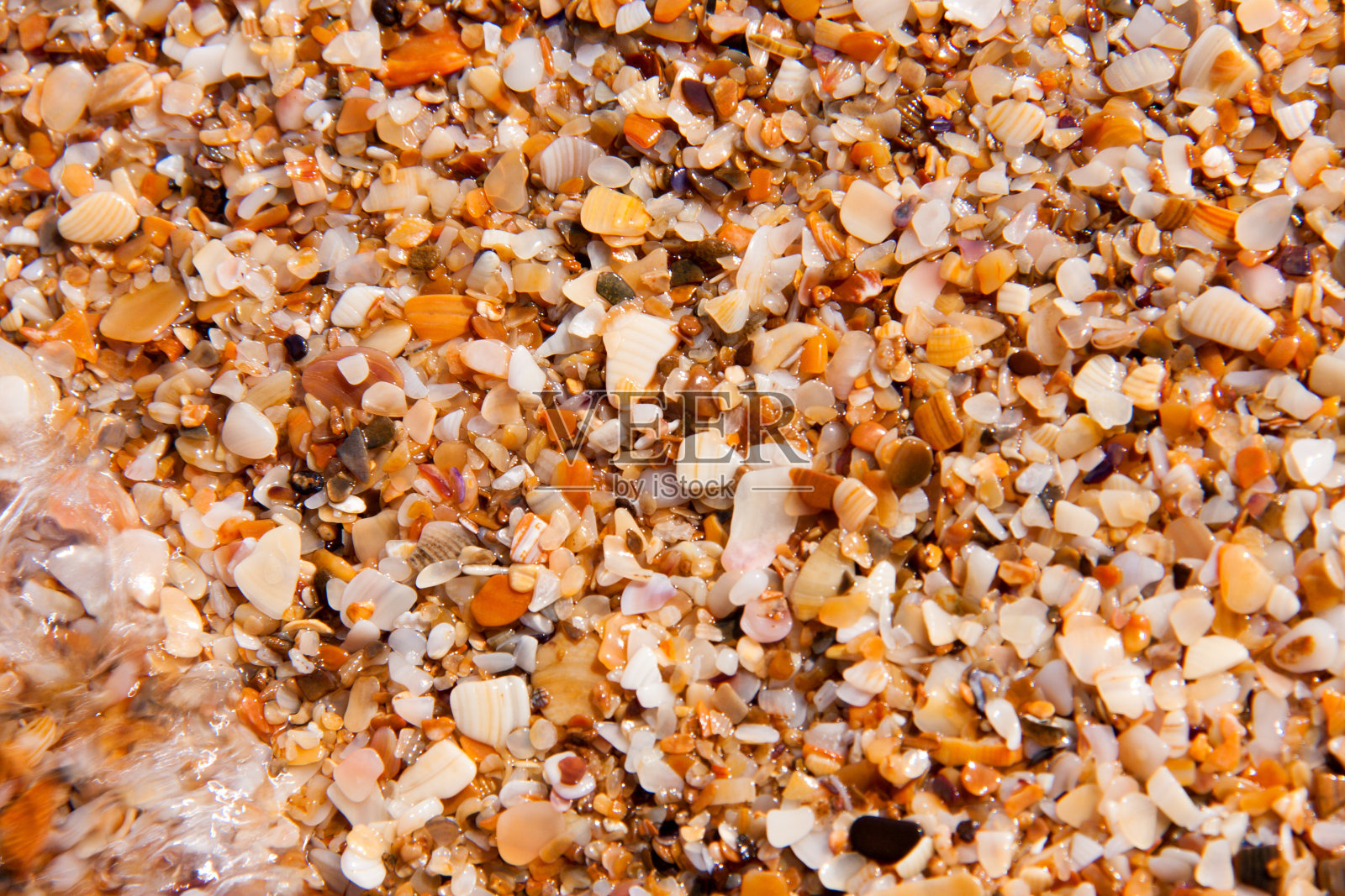 沙滩上的小贝壳作为背景特写照片摄影图片