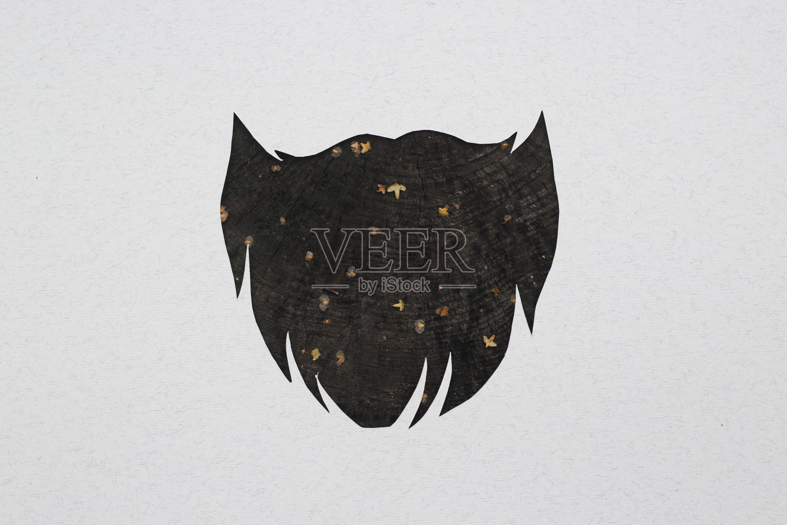 文艺范儿十足的大胡子概念照片摄影图片