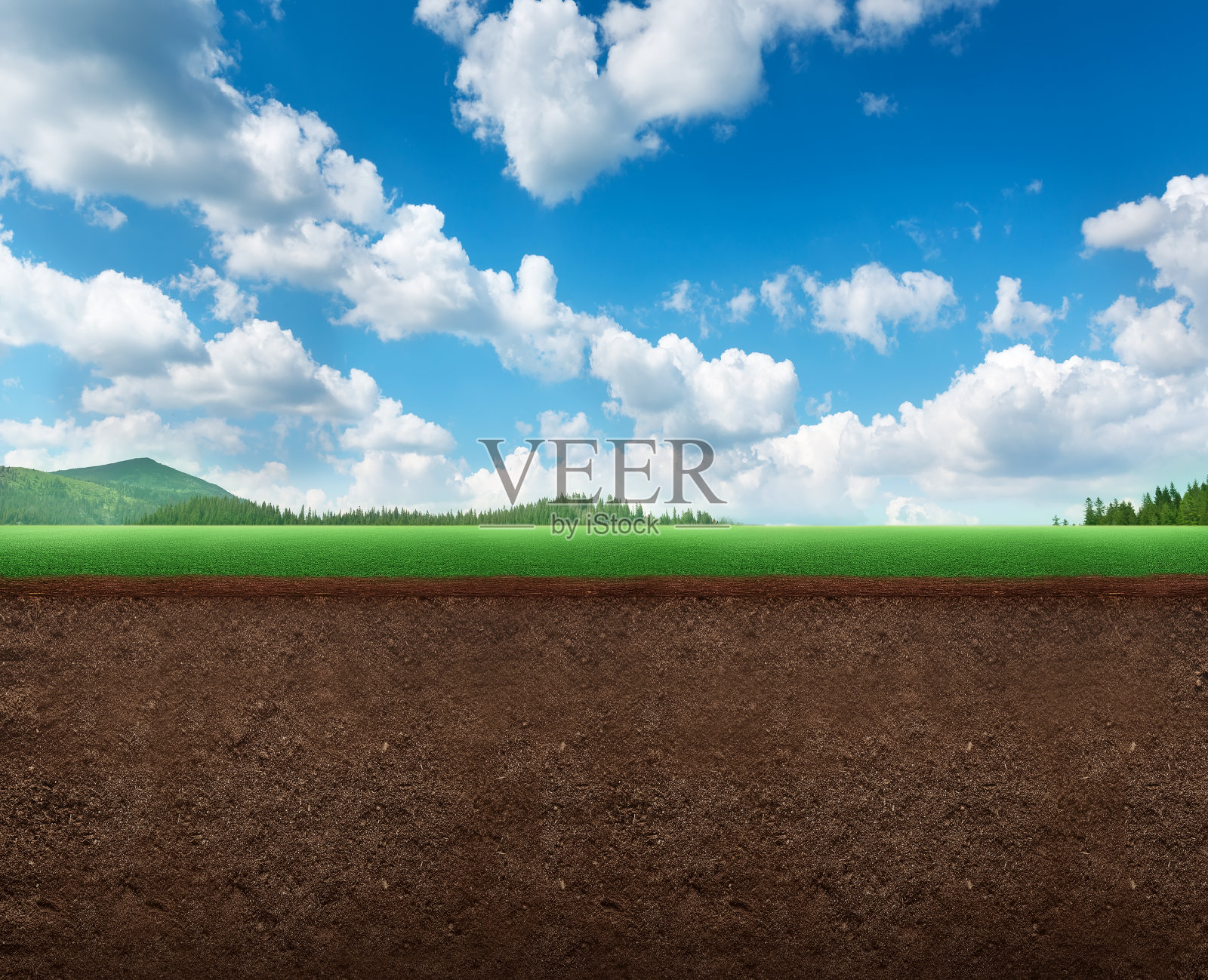 草地的全景照片摄影图片