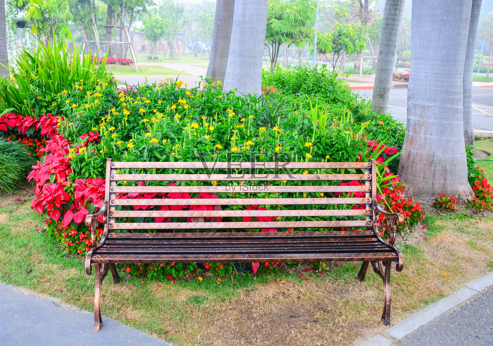 钢质公园长椅下的树照片摄影图片