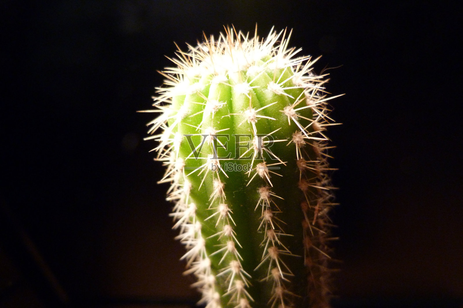 柱捕捉在黑暗的背景照片摄影图片