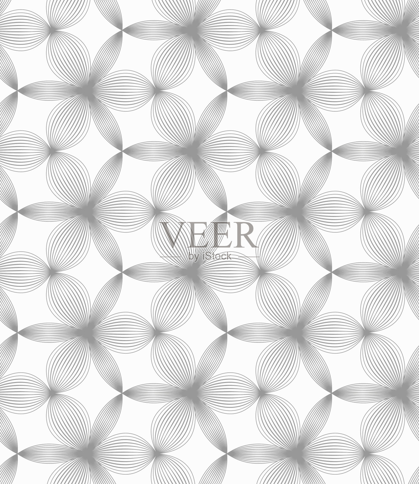 细长的灰色小壳孵出又厚又薄的三叶草插画图片素材