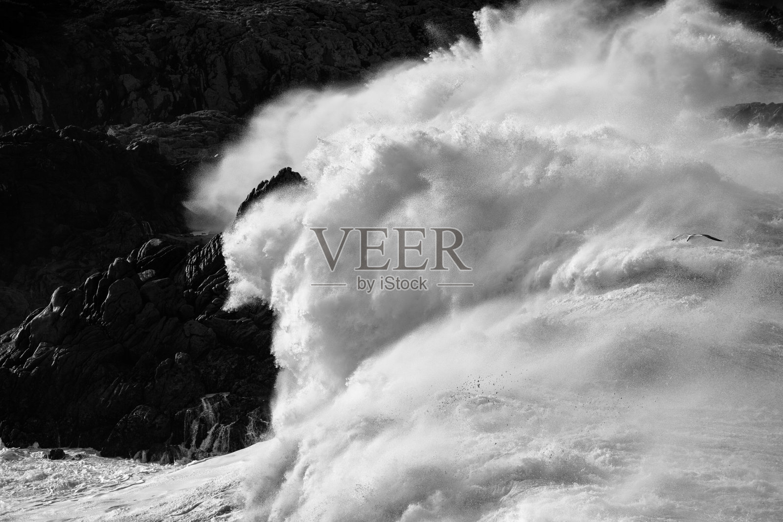 黑上白照片摄影图片