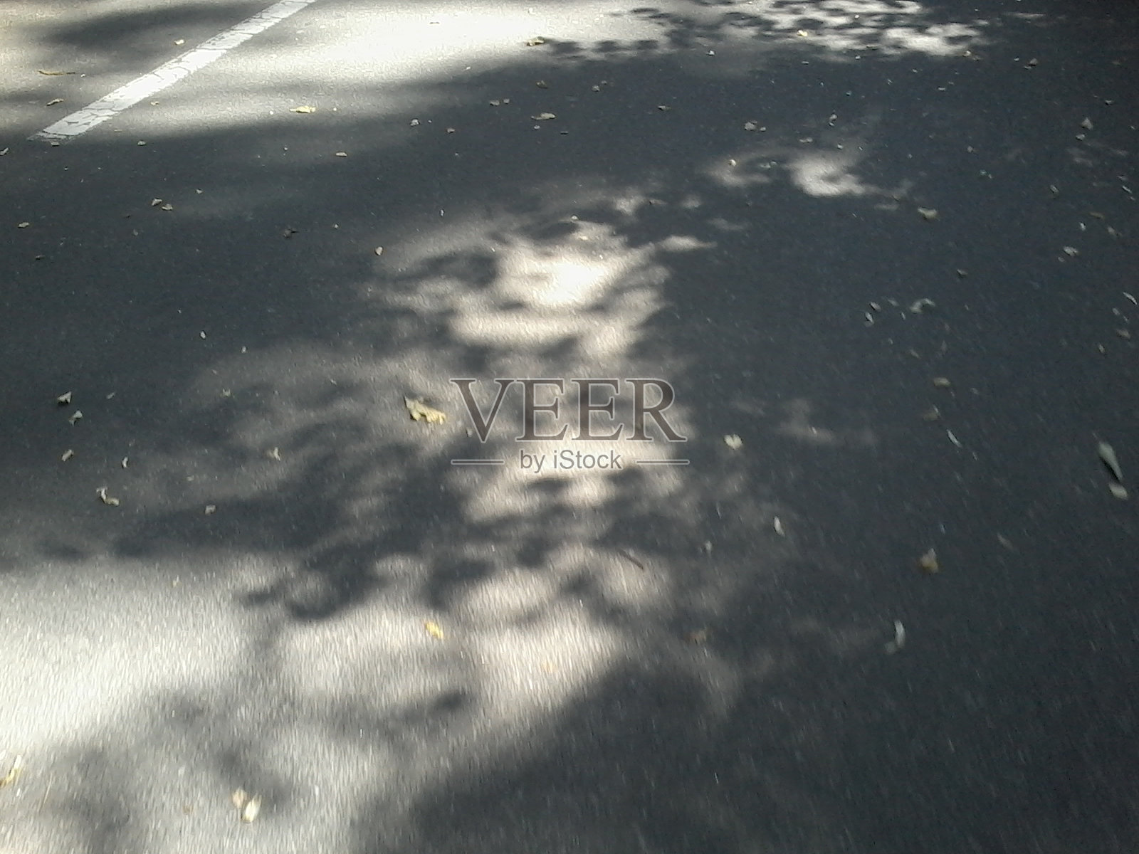 公园和大学建筑照片摄影图片