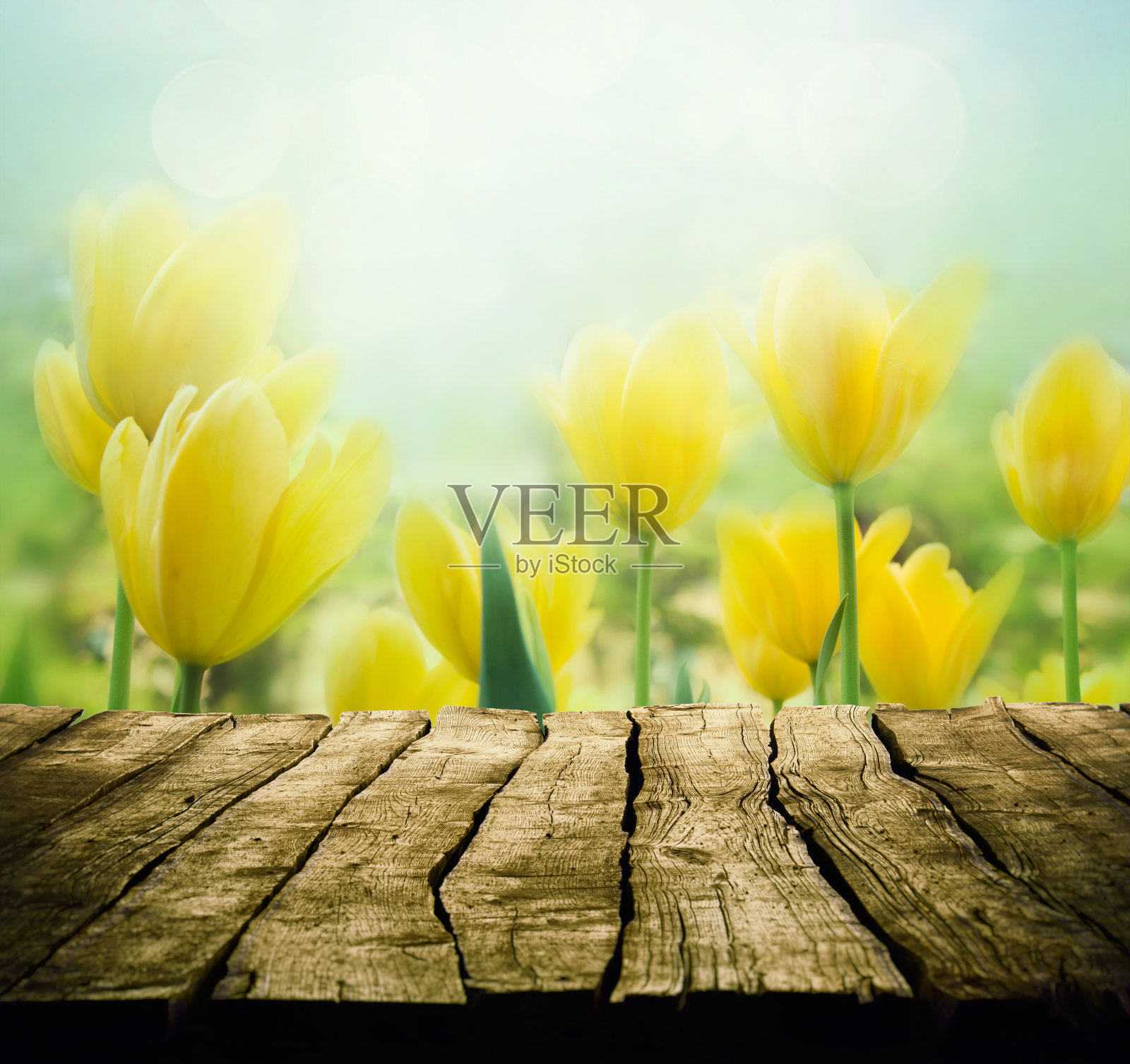 弹簧设计照片摄影图片