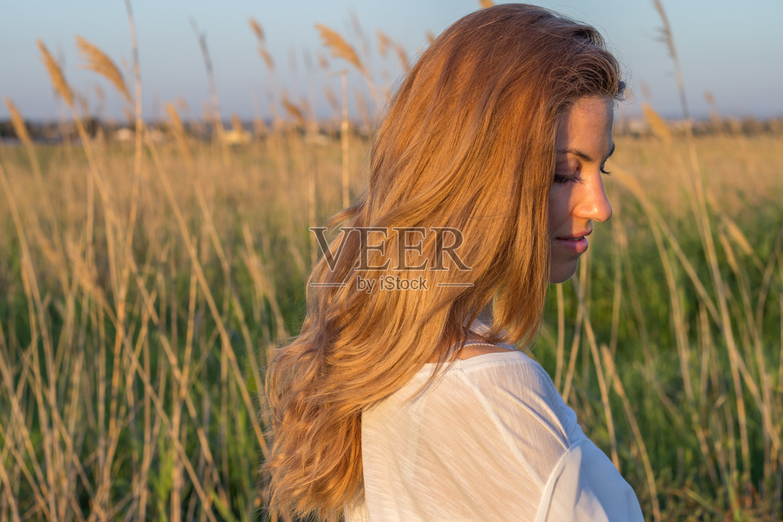 女人肝领域照片摄影图片