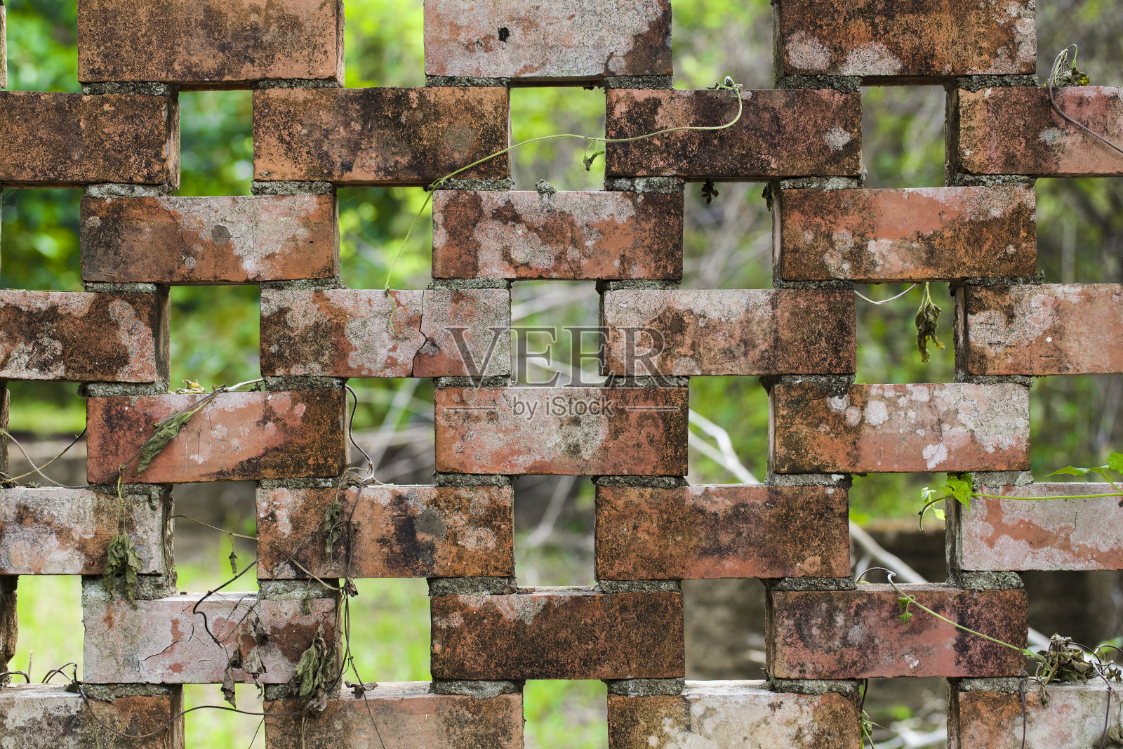 砖墙照片摄影图片