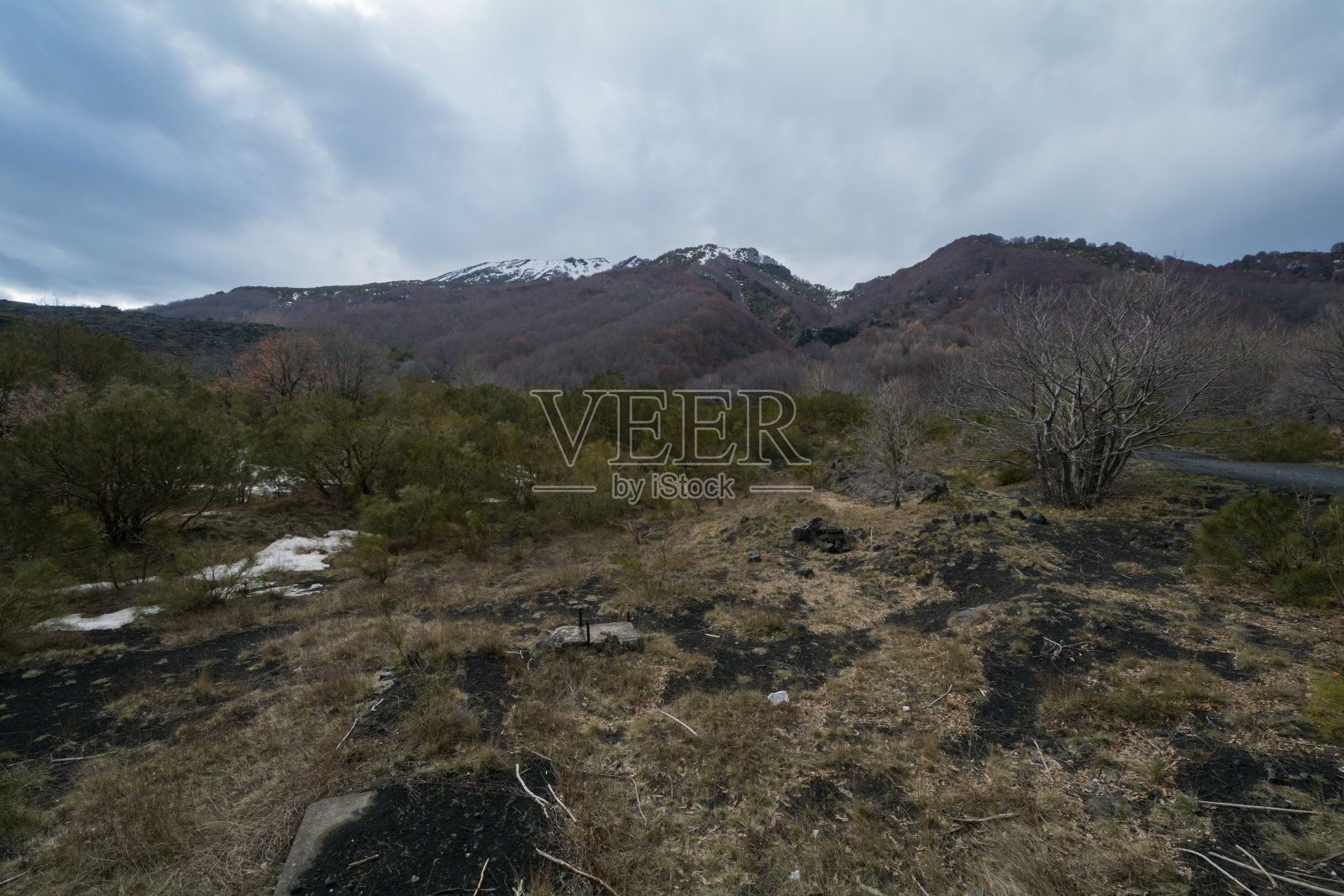 位于西西里岛埃特纳的国家公园照片摄影图片