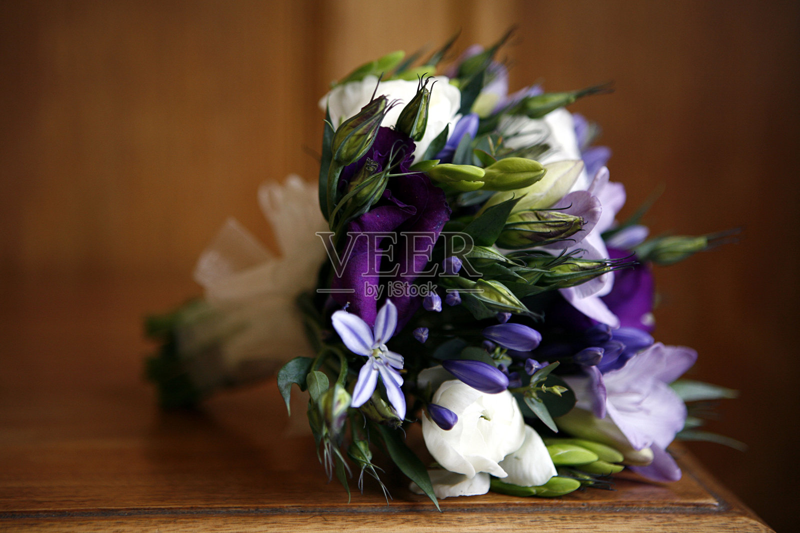 春天的花朵照片摄影图片