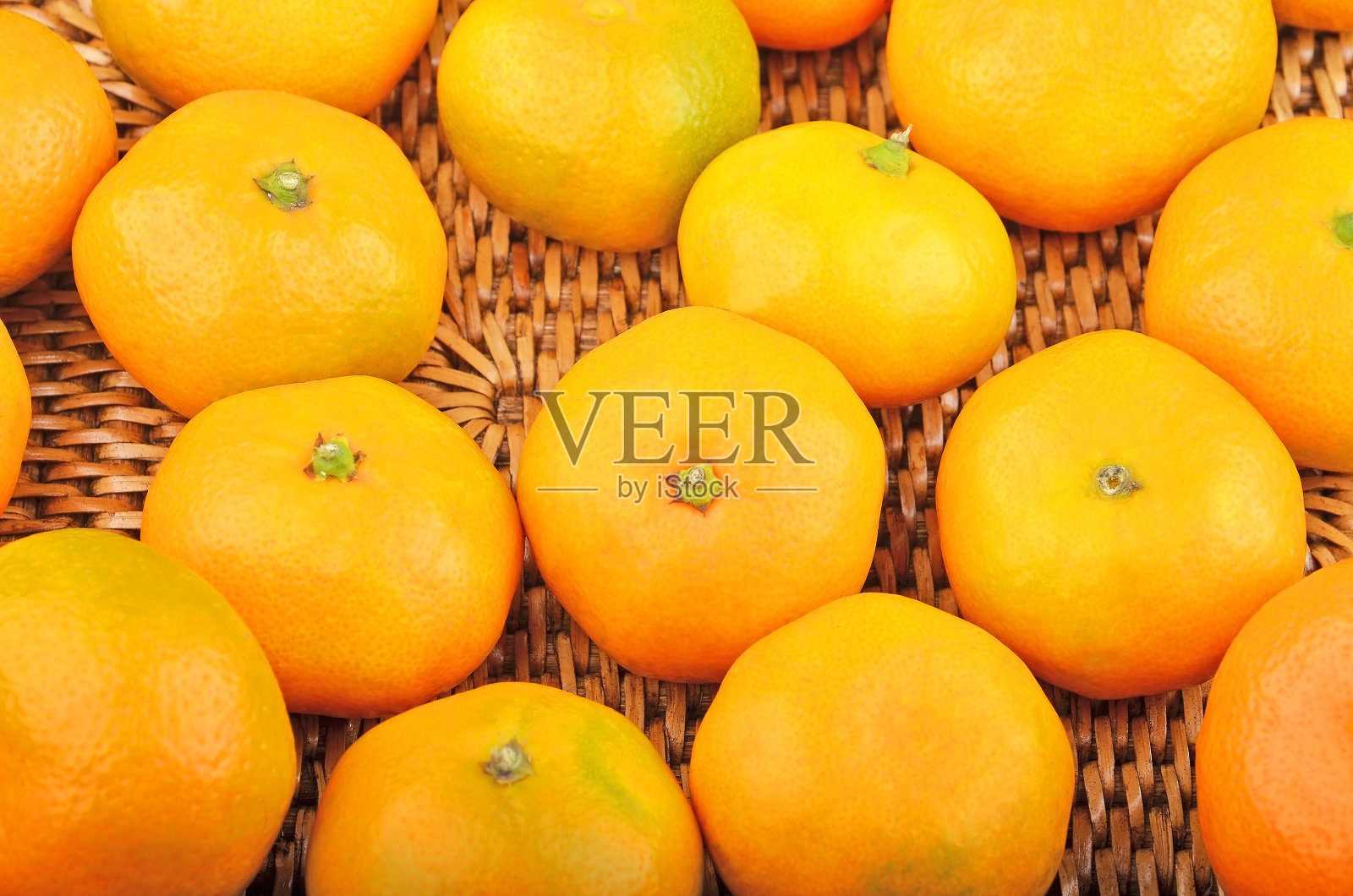 柳条背景下的普通话照片摄影图片