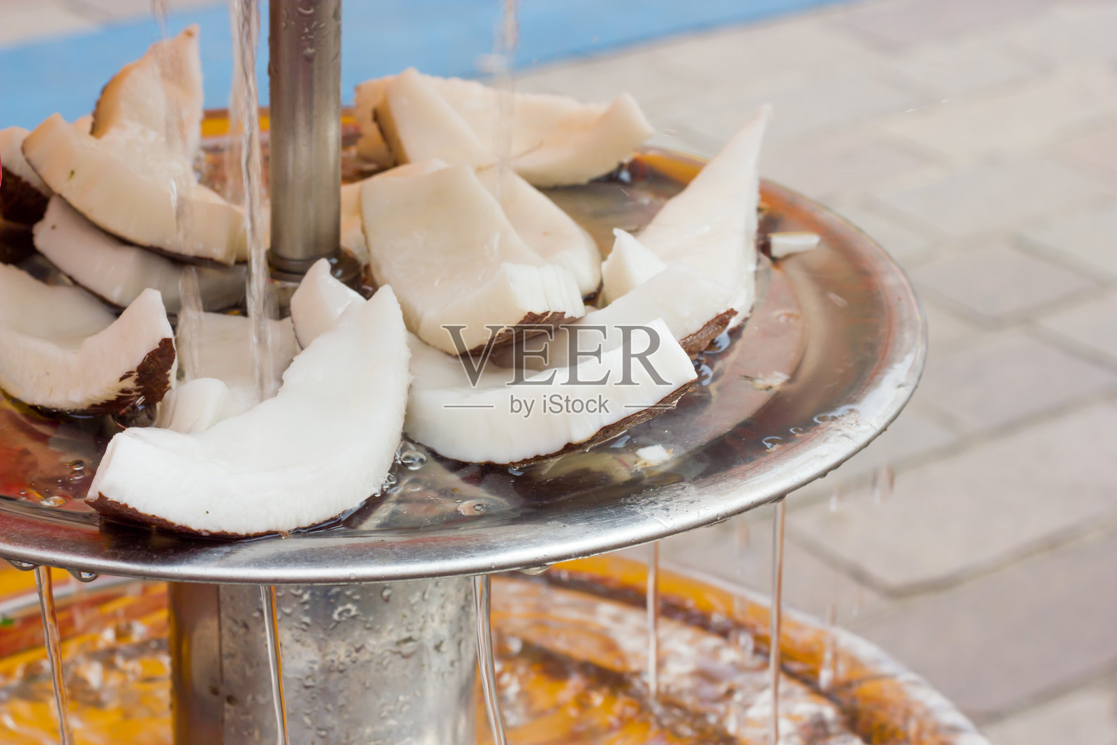 椰子片照片摄影图片