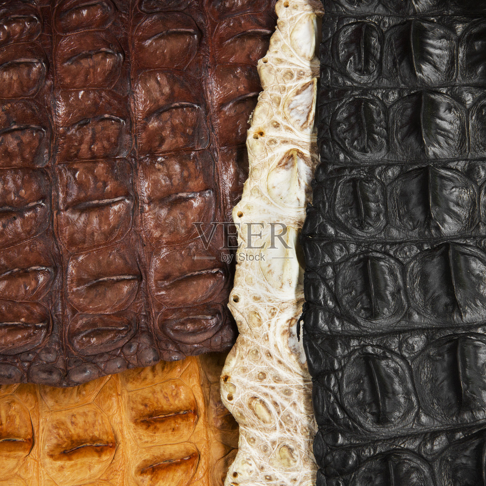 鳄鱼皮纹理照片摄影图片