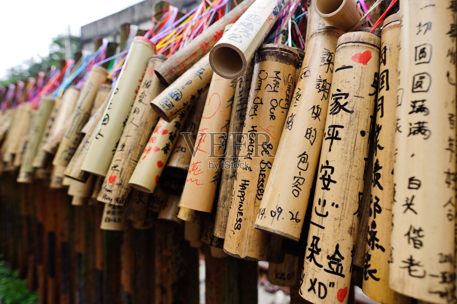 精通照片摄影图片