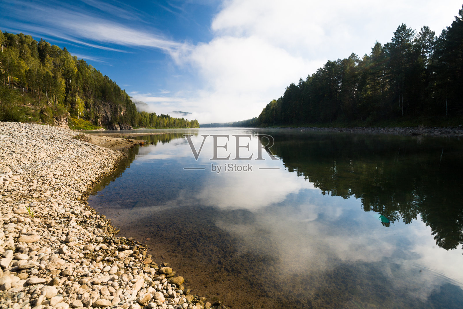 夏天山河。阿尔泰河比亚照片摄影图片