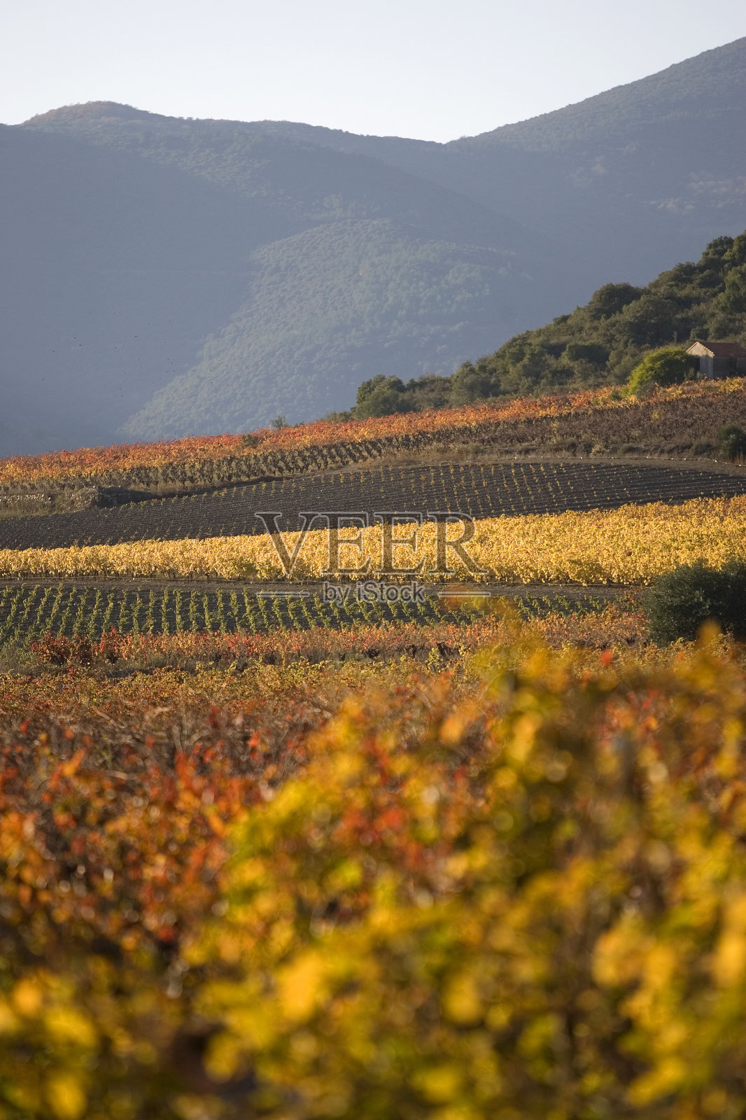 法国南部朗格多克罗克布伦村附近的山脉照片摄影图片