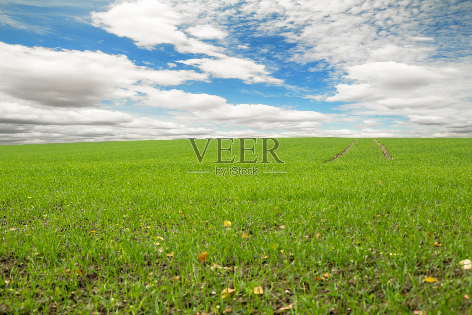 田园风景照片摄影图片