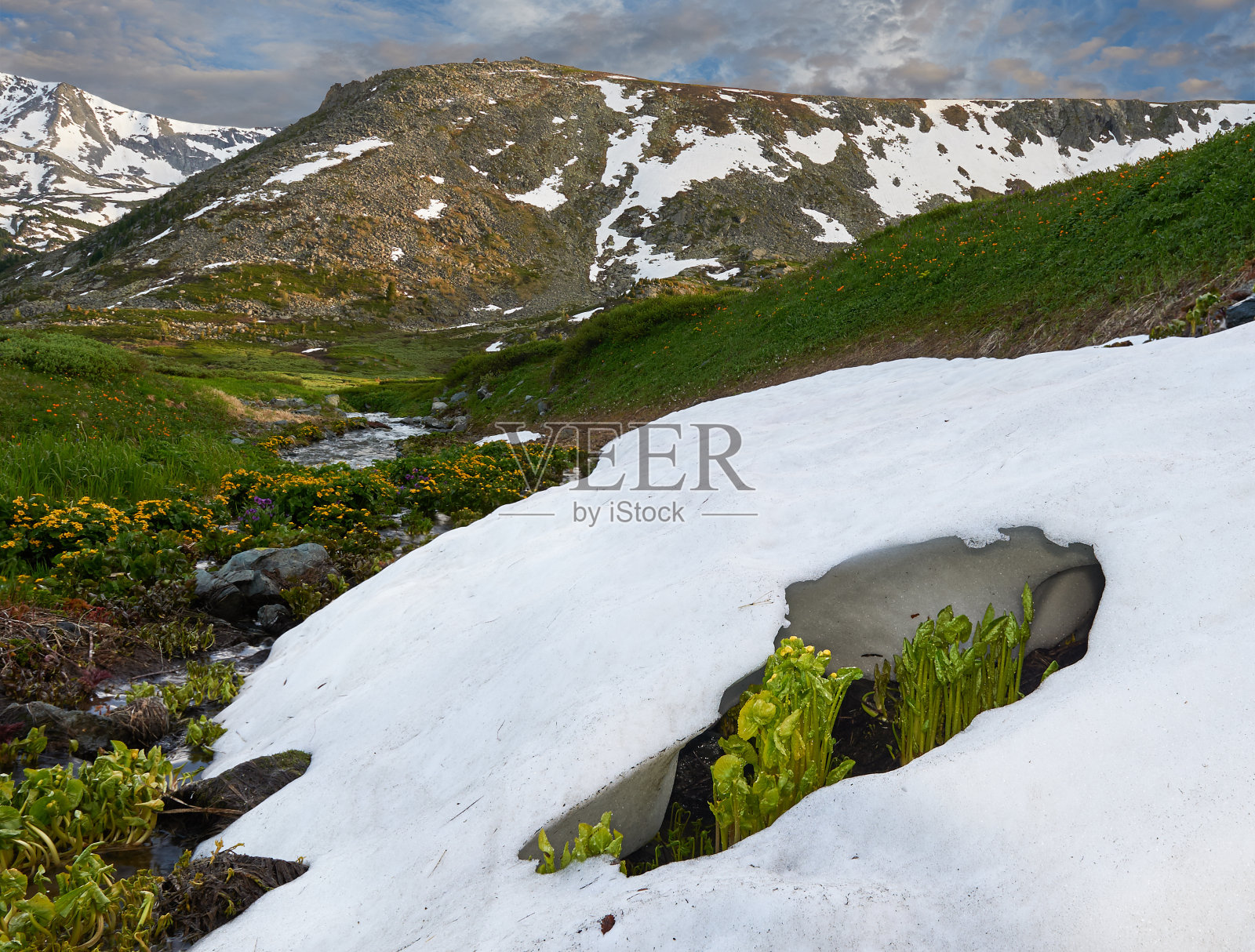 阿尔泰山脉照片摄影图片