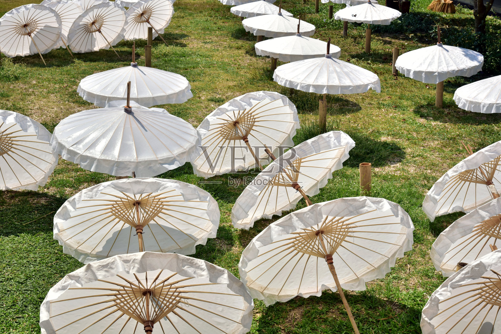 伞照片摄影图片