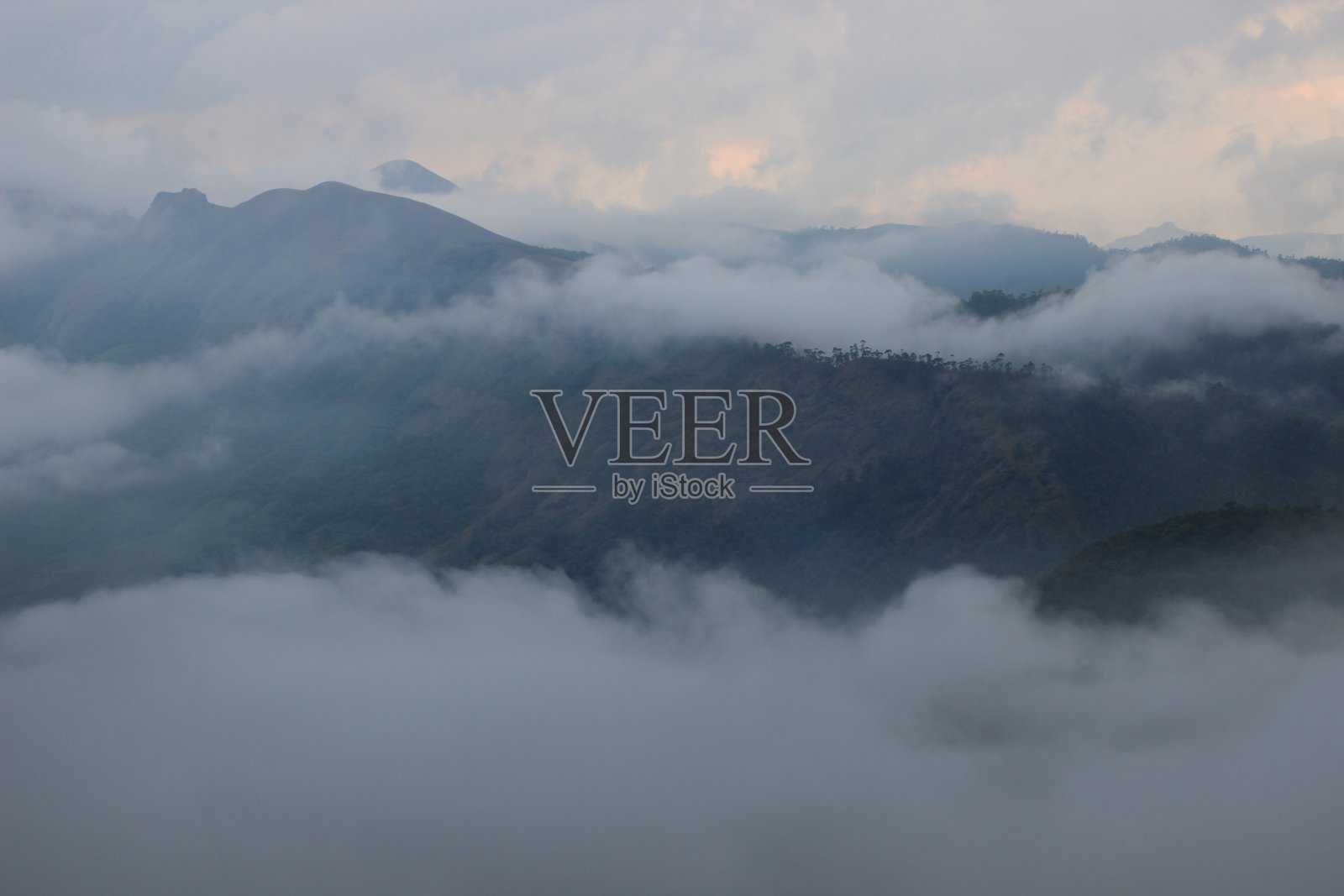 拉贾马拉山，Eravikulam国家公园，喀拉拉邦Idukki |照片摄影图片