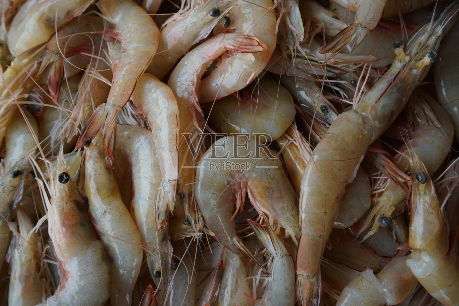 街市鲜虾照片摄影图片