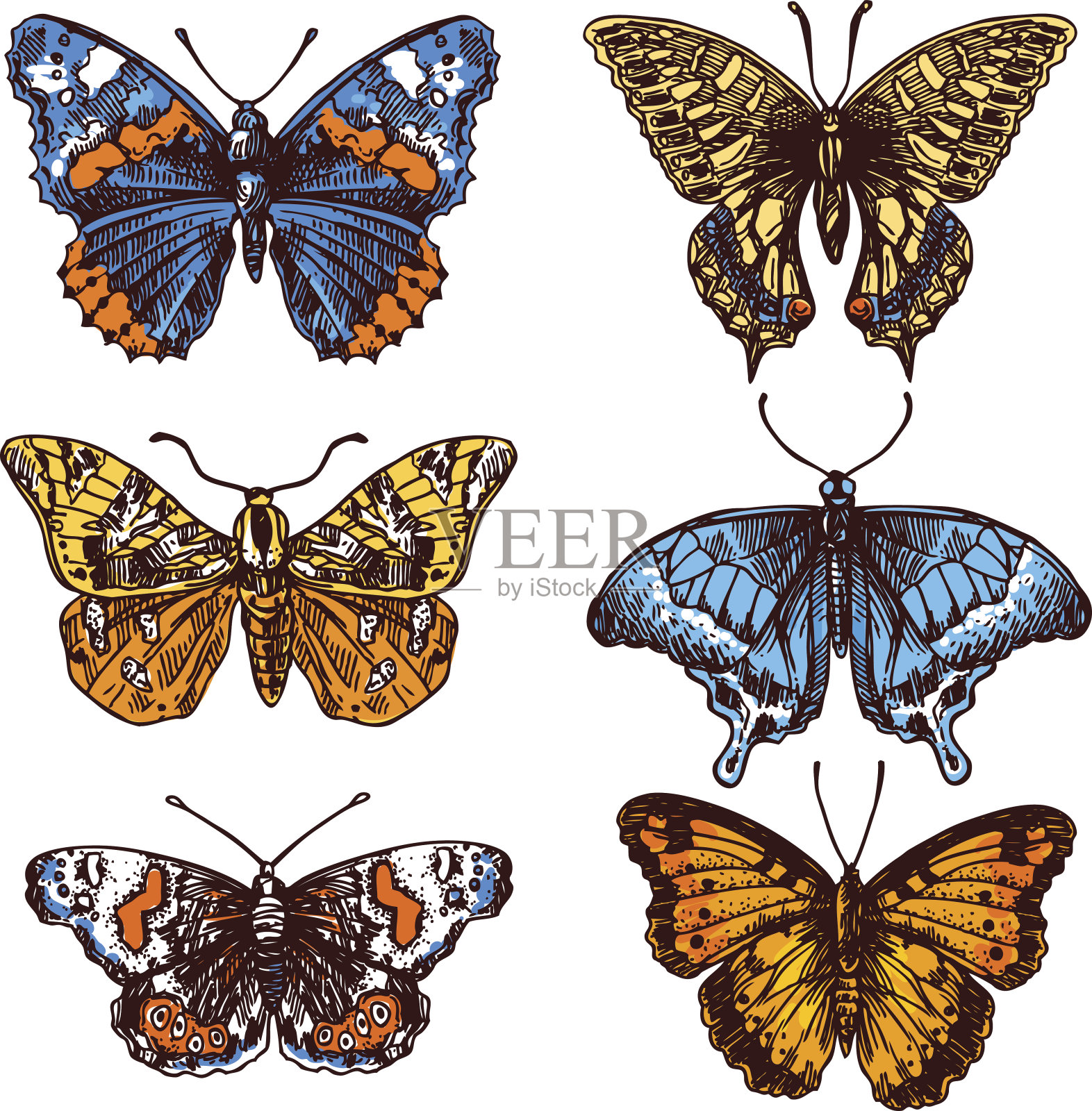 素描的蝴蝶设计元素图片