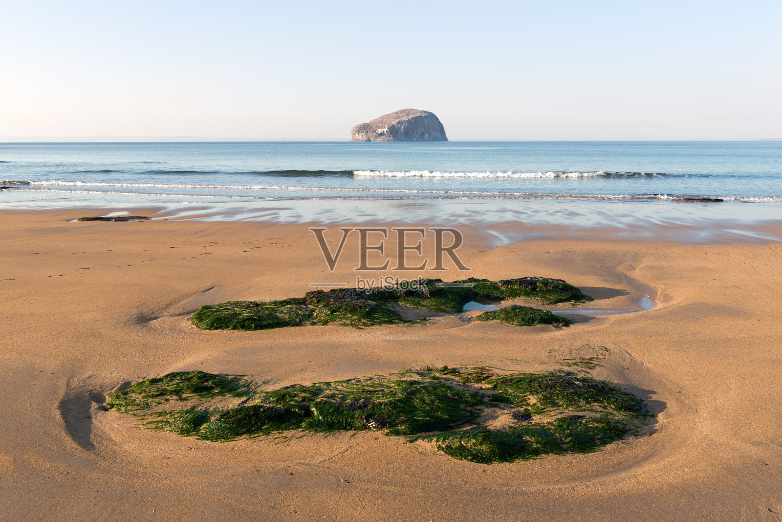 海滩上的海藻照片摄影图片