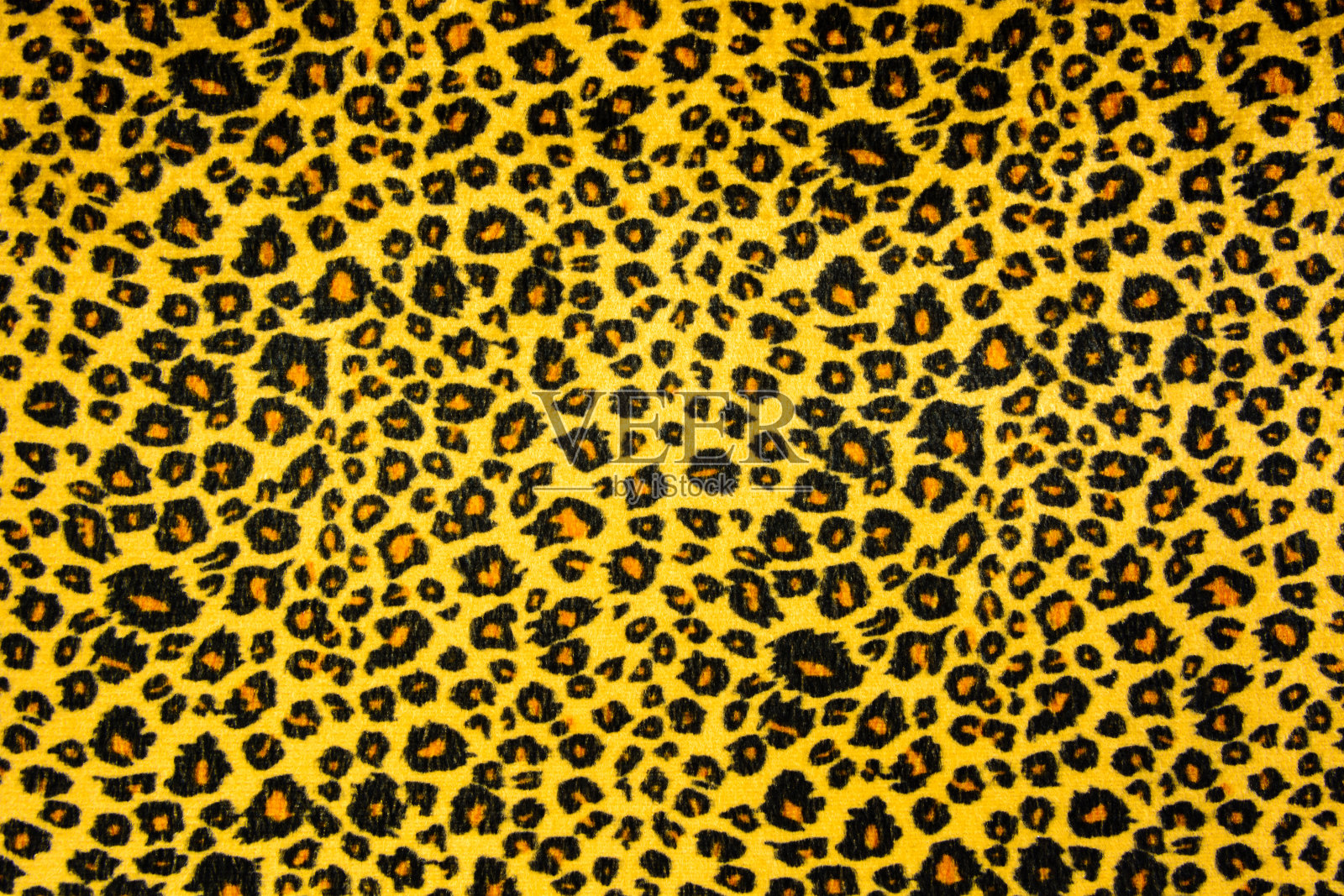 野生动物图案背景或纹理照片摄影图片