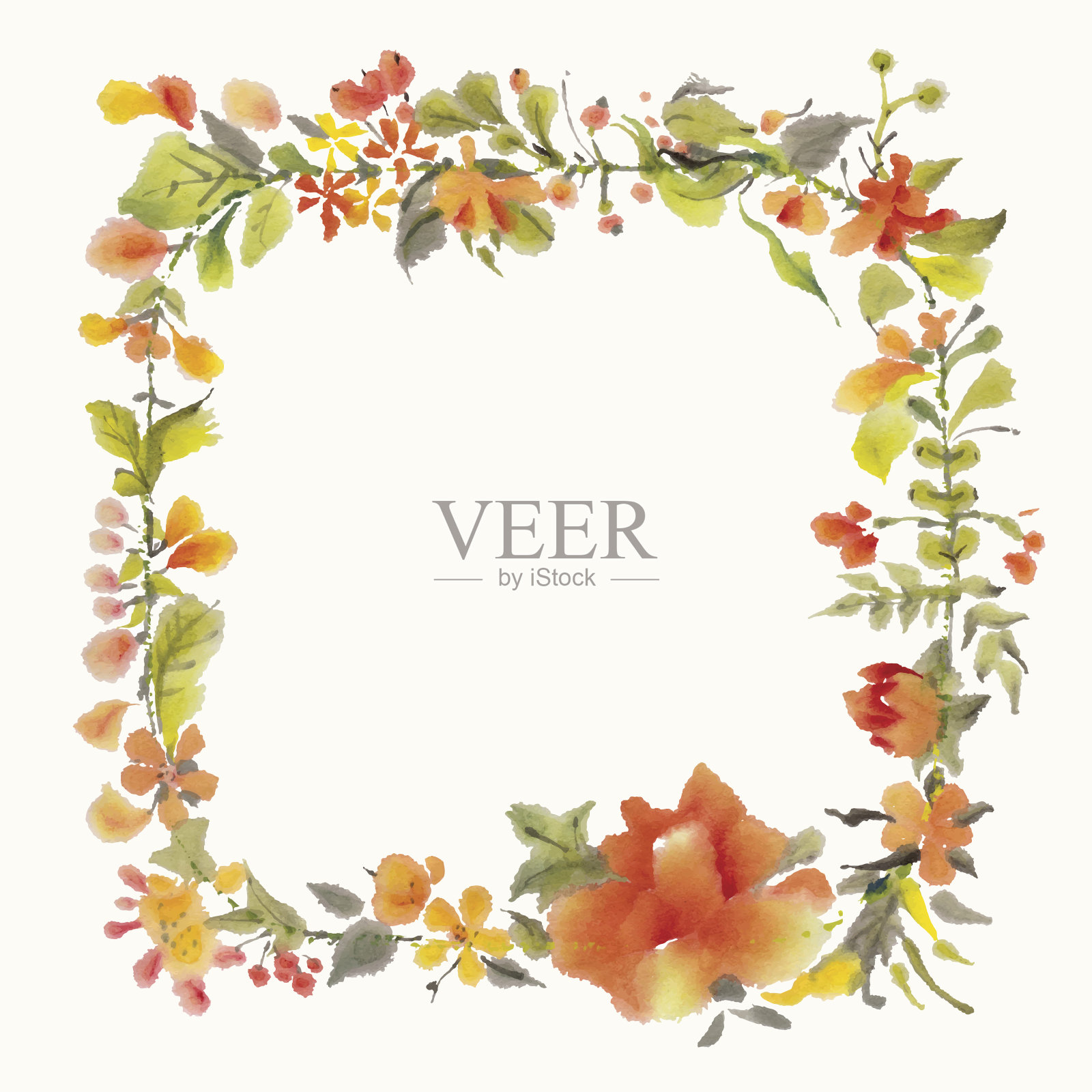 框架用鲜花插画图片素材