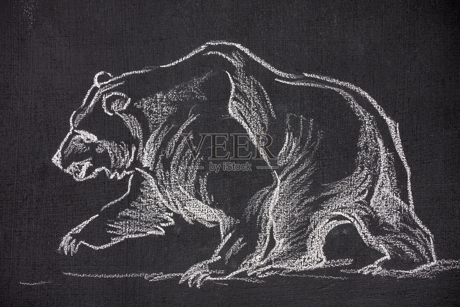 说明熊插画图片素材