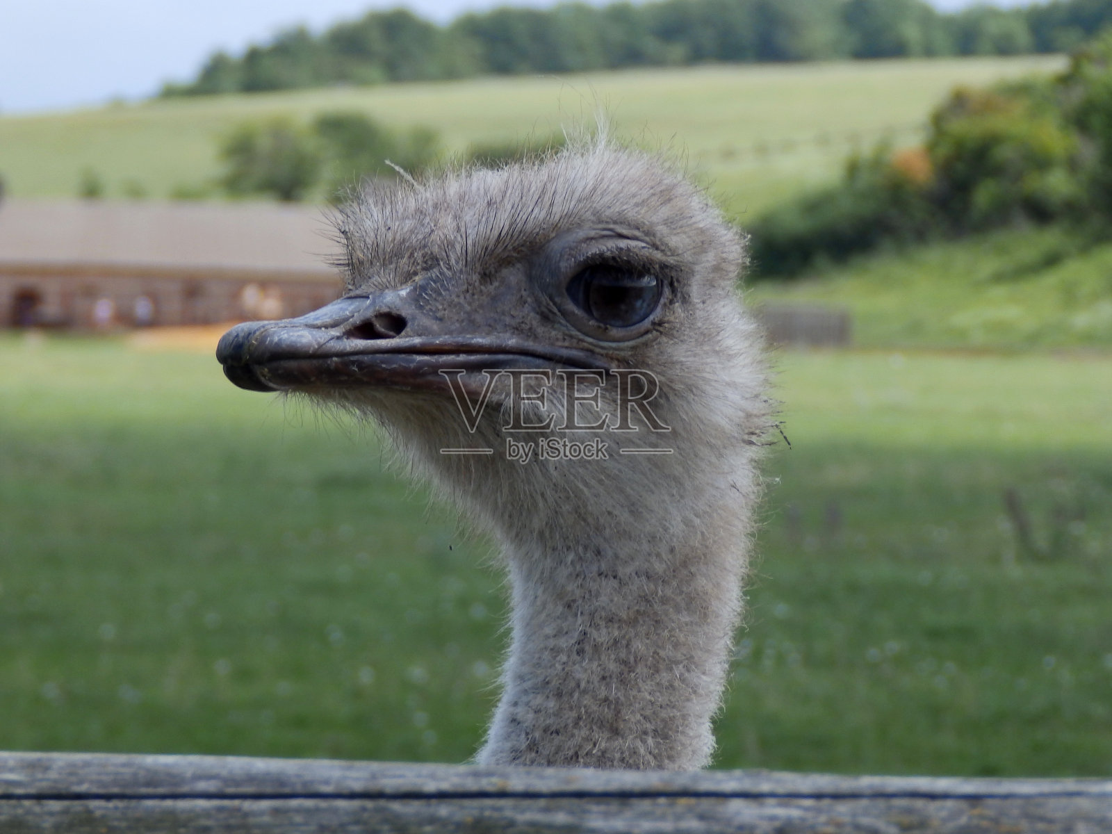 自然照片摄影图片