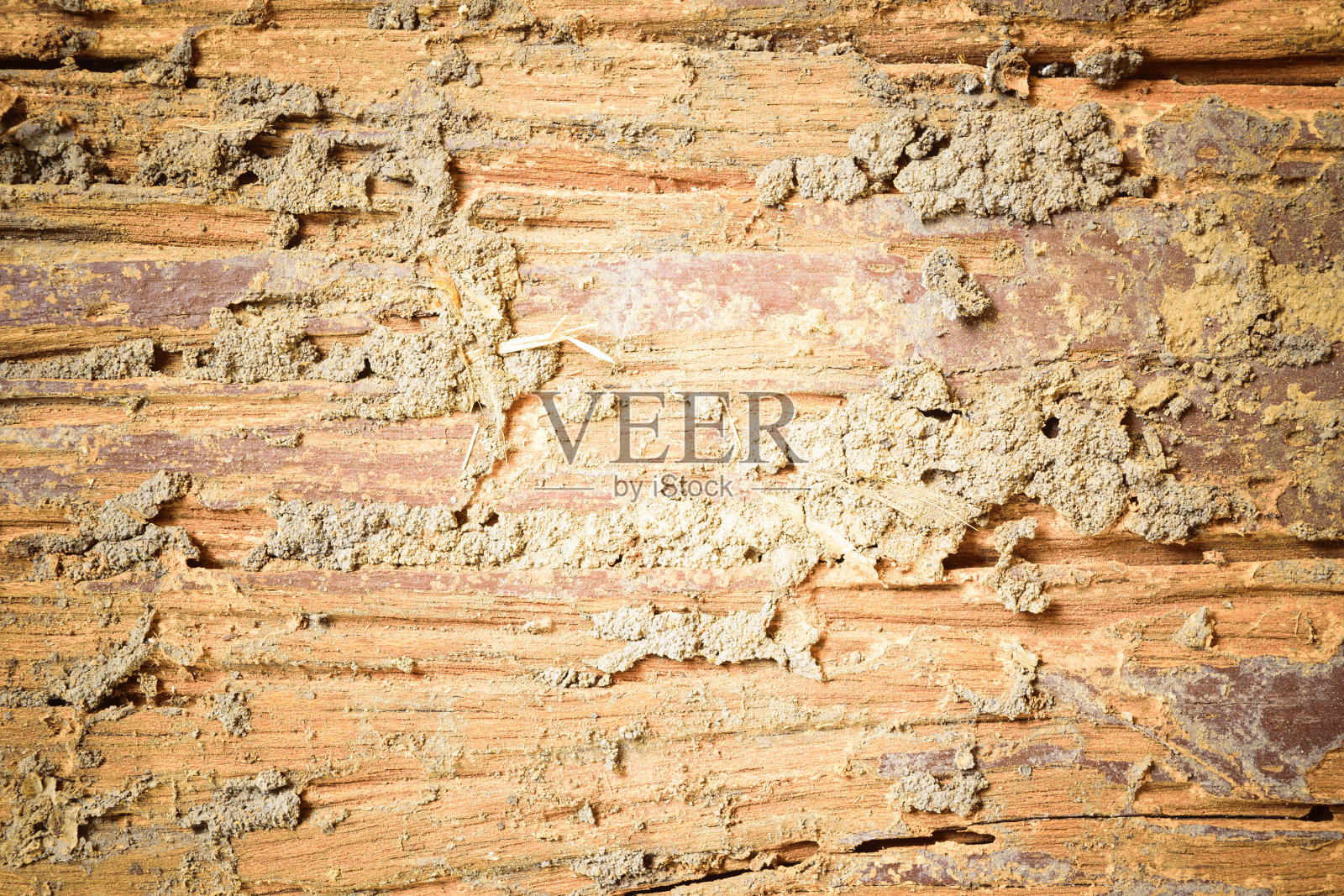 腐烂木材纹理照片摄影图片