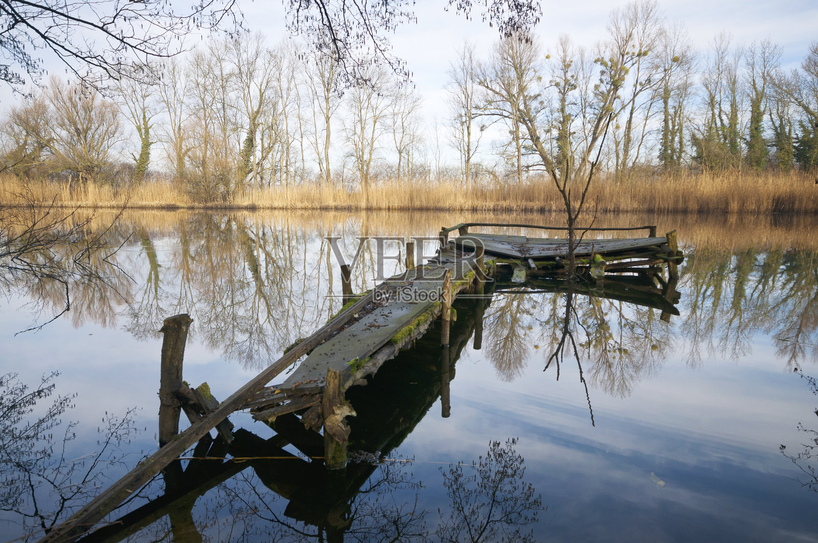 停泊的废码头照片摄影图片