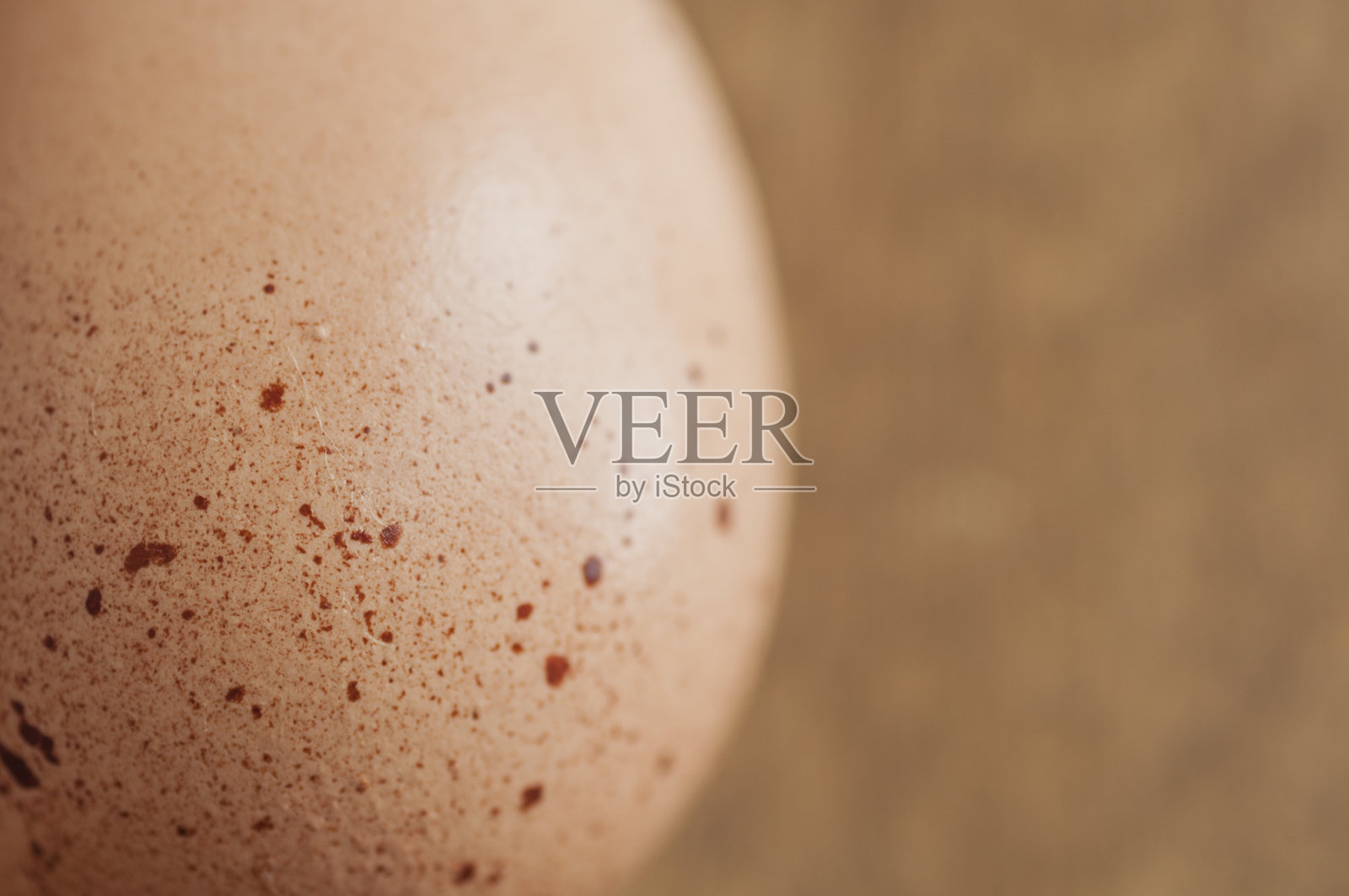 蛋壳纹理细节照片摄影图片