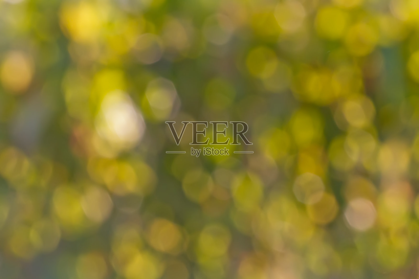 自然模糊的背景照片摄影图片