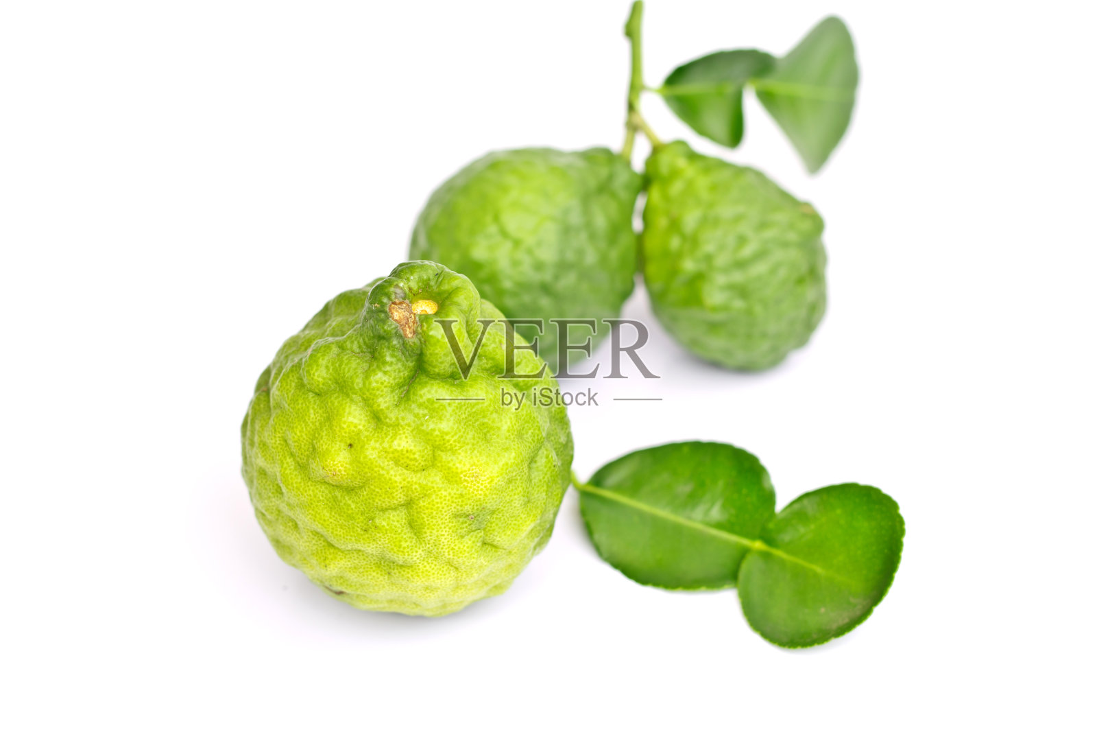 白底佛手柑。照片摄影图片