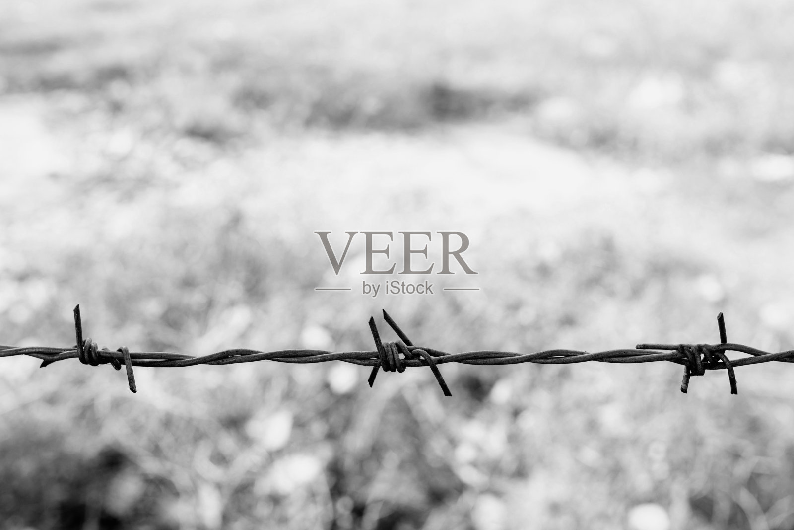 黑白相间的铁丝网照片摄影图片