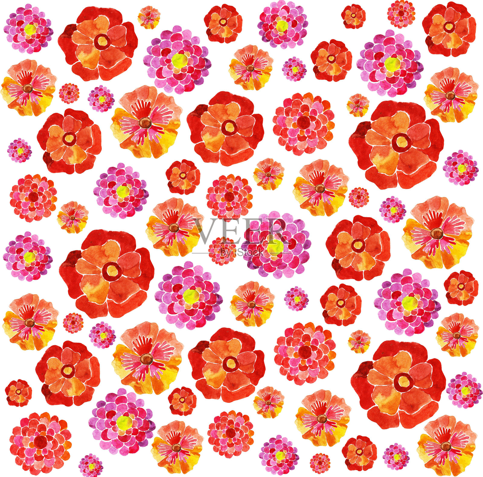 背景来自水彩彩色的花朵插画图片素材