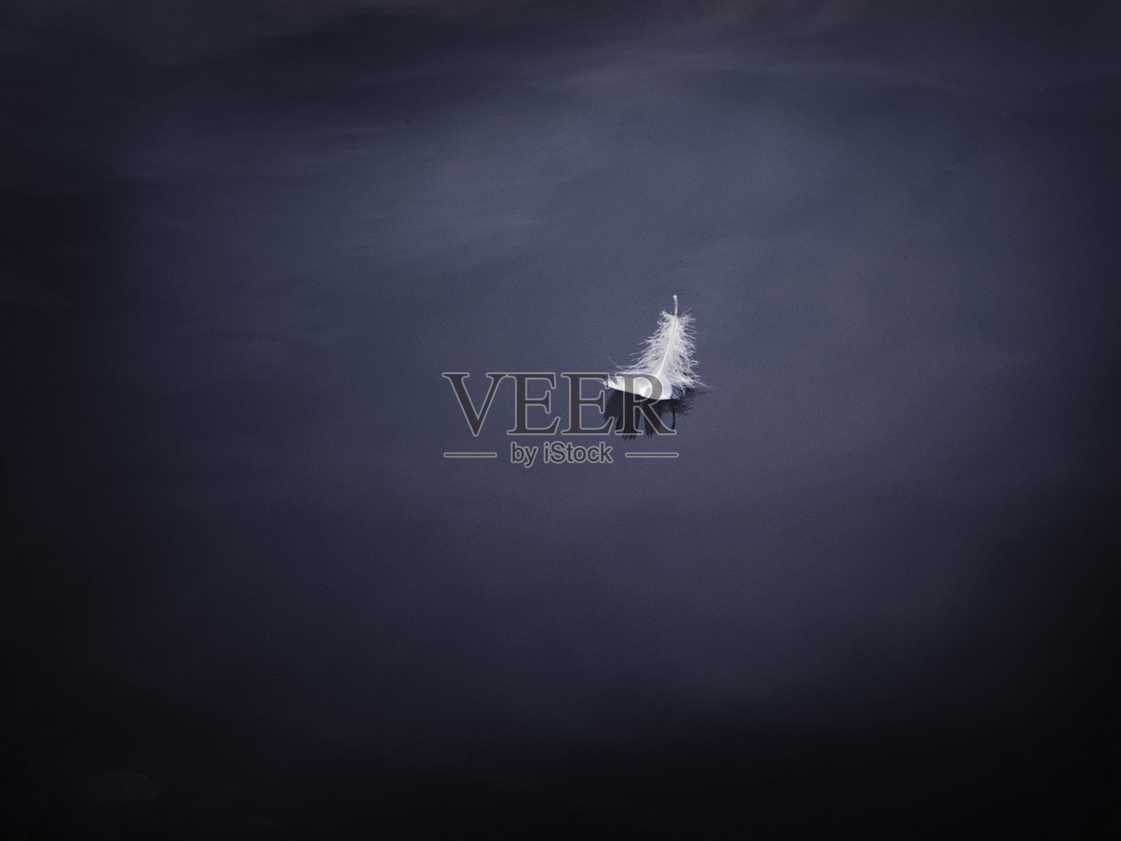 一根羽毛照片摄影图片