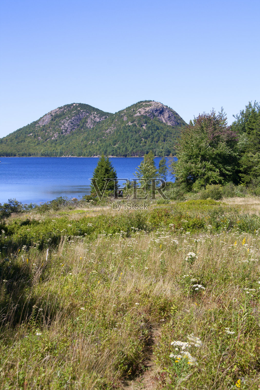 从约旦池塘房子后面看照片摄影图片