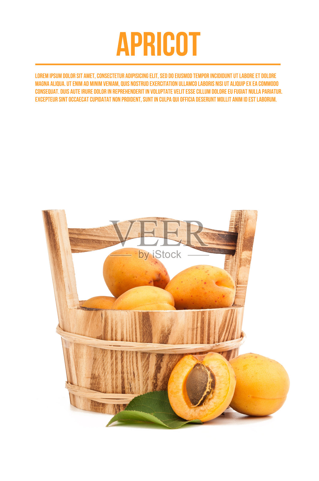 杏子照片摄影图片