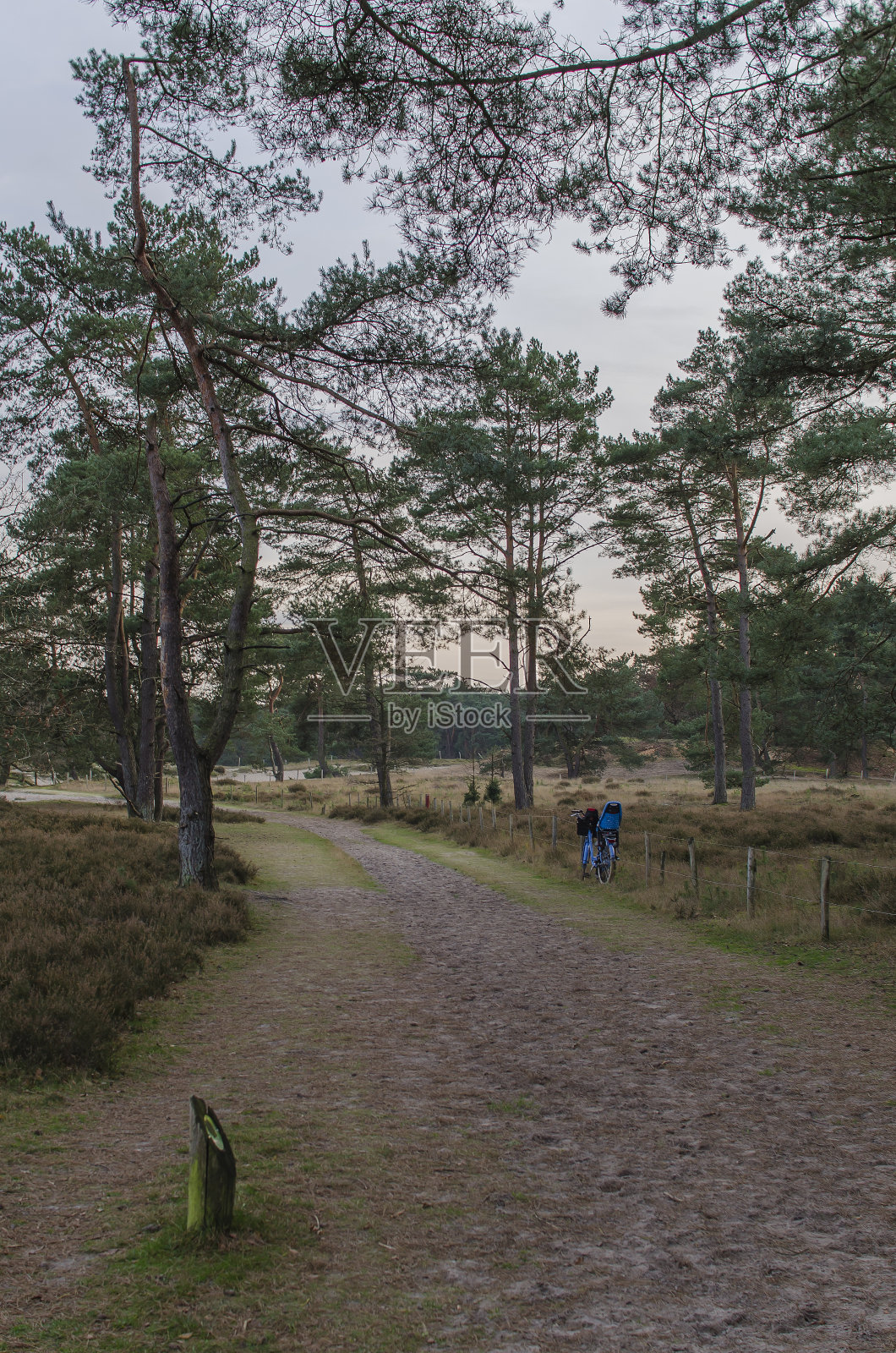 Soesterduinen的人行道照片摄影图片