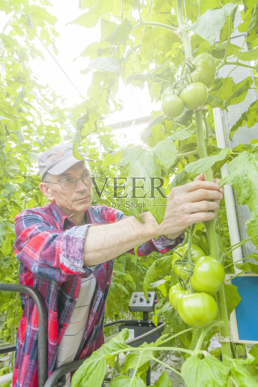 温室技术照片摄影图片