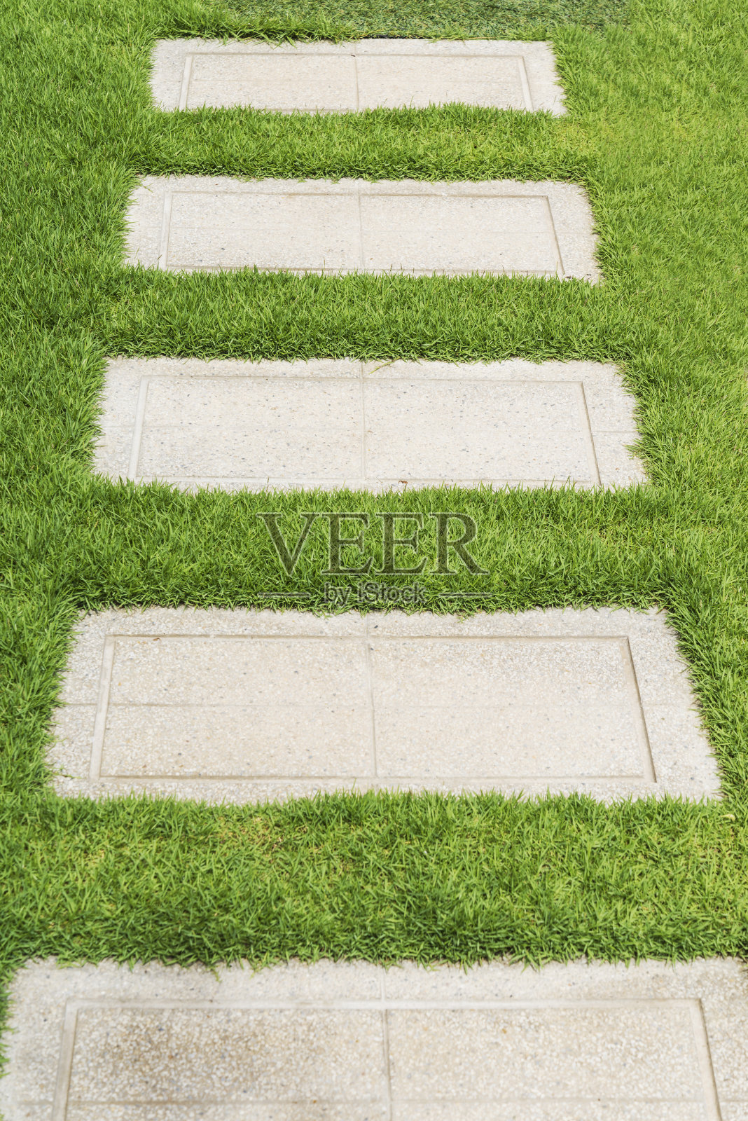 花园里的石头人行道照片摄影图片