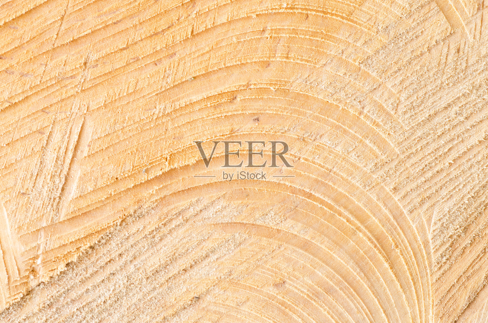 切割树干纹理背景照片摄影图片