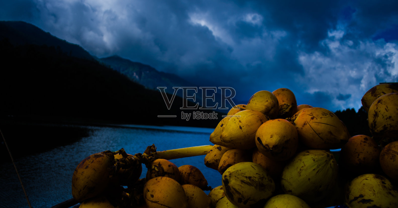 湖边的椰子照片摄影图片