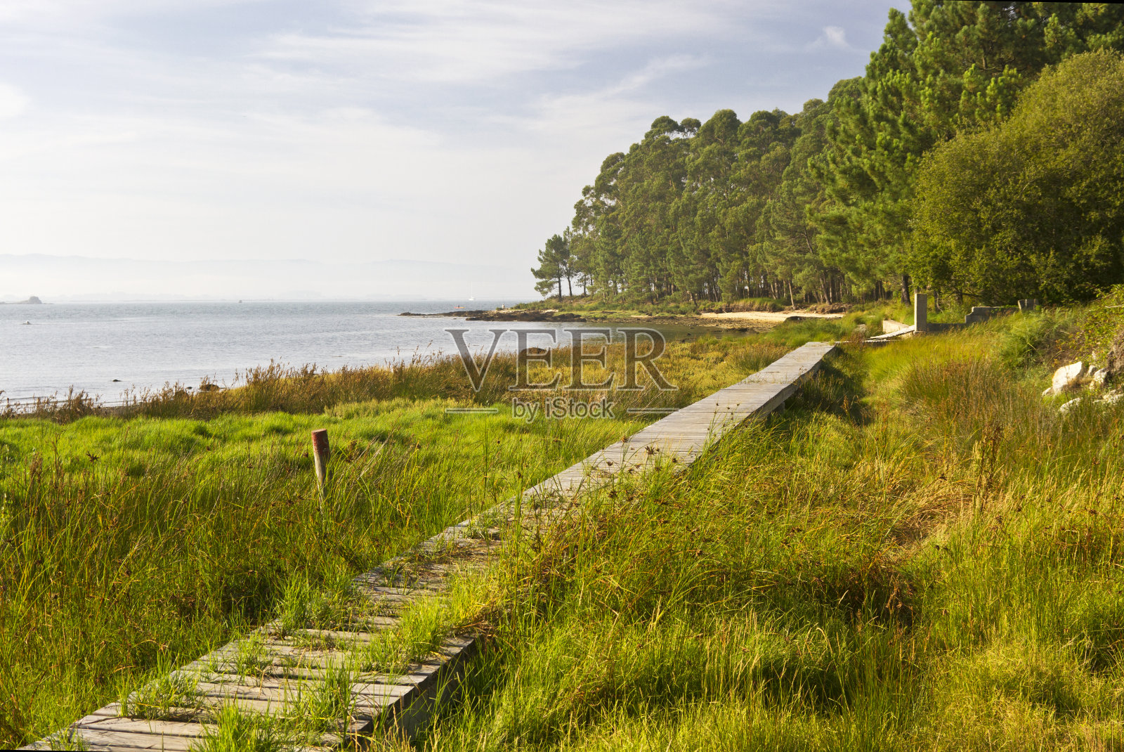 乌米亚河沼泽照片摄影图片