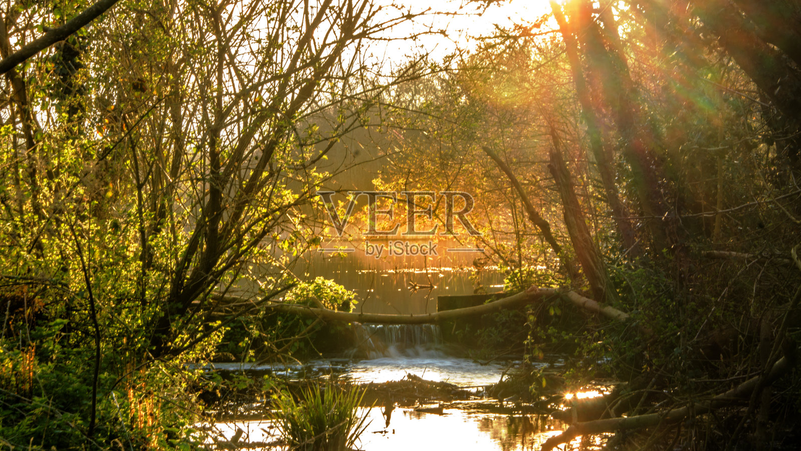 流水照片摄影图片