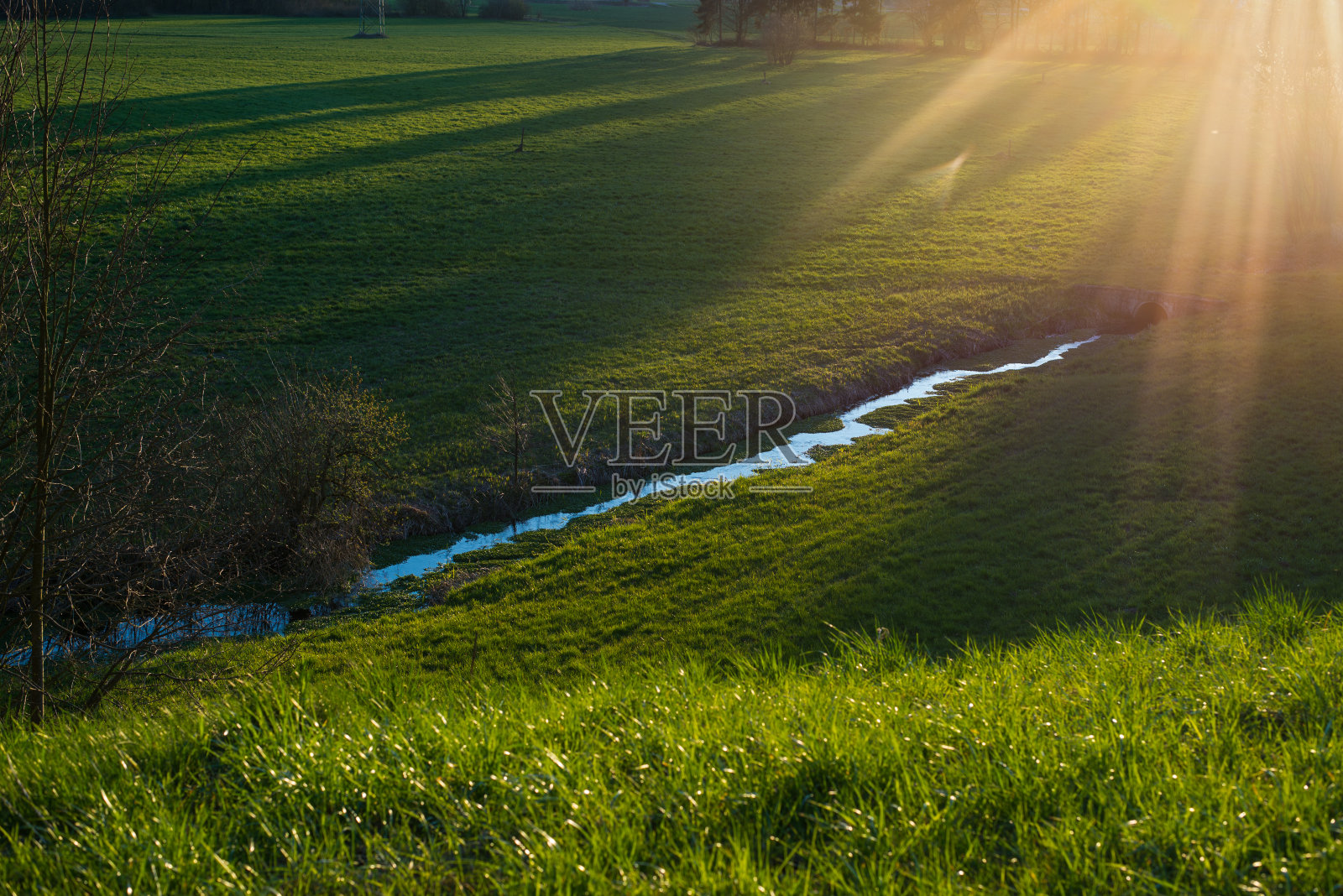 流过草地的小溪照片摄影图片